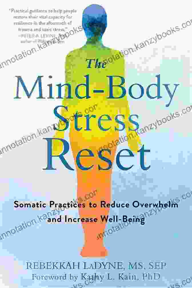 Book Cover Of 'The Mind Body Stress Reset' The Mind Body Stress Reset: Somatic Practices To Reduce Overwhelm And Increase Well Being