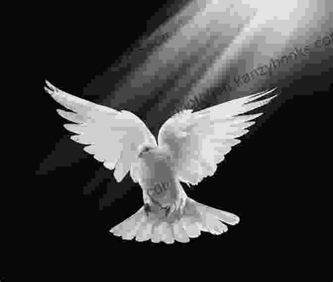 Symbol Of The Holy Spirit As A Dove, Descending The Magnificent Word Of The Lord