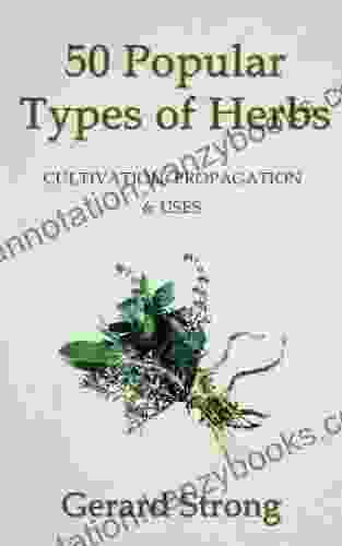 50 Popular Types Of Herb (The Herb 2)