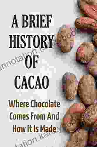 A Brief History Of Cacao: Where Chocolate Comes From And How It Is Made