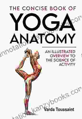 The Concise Of Yoga Anatomy: An Illustrated Overview To The Science Of Activity