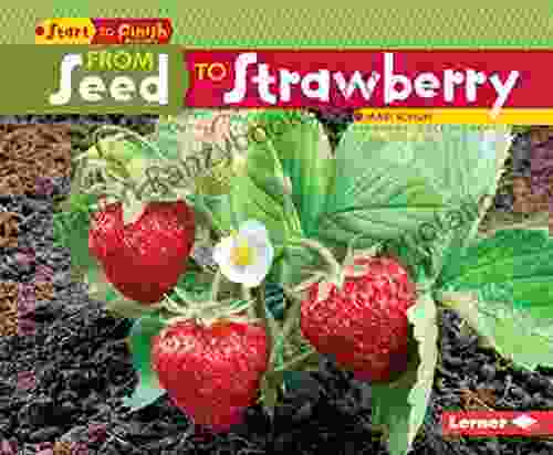 From Seed To Strawberry (Start To Finish Second Series)