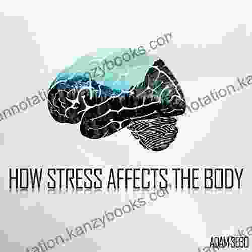 How Stress Affects The Body