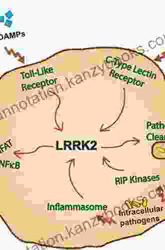 Leucine Rich Repeat Kinase 2 (LRRK2) (Advances In Neurobiology 14)