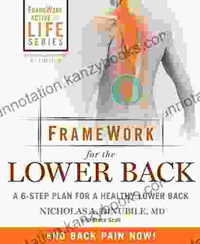 FrameWork For The Lower Back: A 6 Step Plan For A Healthy Lower Back (FrameWork Active For Life)